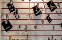 ����˹����չ-��չ��Ʒ (18)