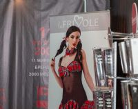 ����˹����չ-չ���ֳ� (22)