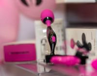 ����˹����չ-��չ��Ʒ (31)