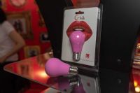 ����˹����չ-��չ��Ʒ (33)