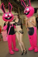 xShow����˹����չ����40