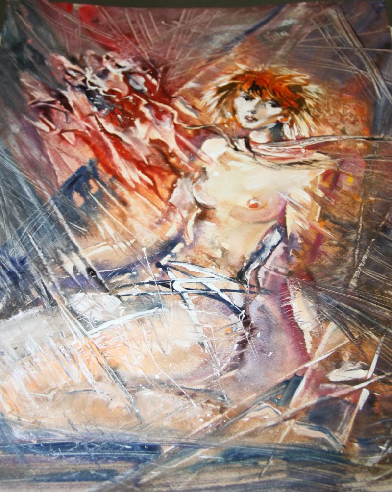 xShow��������չ22