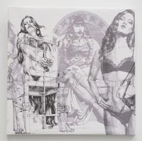 xShow��������չ39