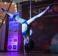 ���ʵı���24