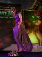 ���ʵı���26