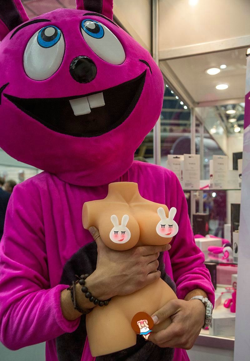 ��å����ż���Ű�����ģ���