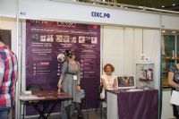 ģ�ش���Ƥ��è������