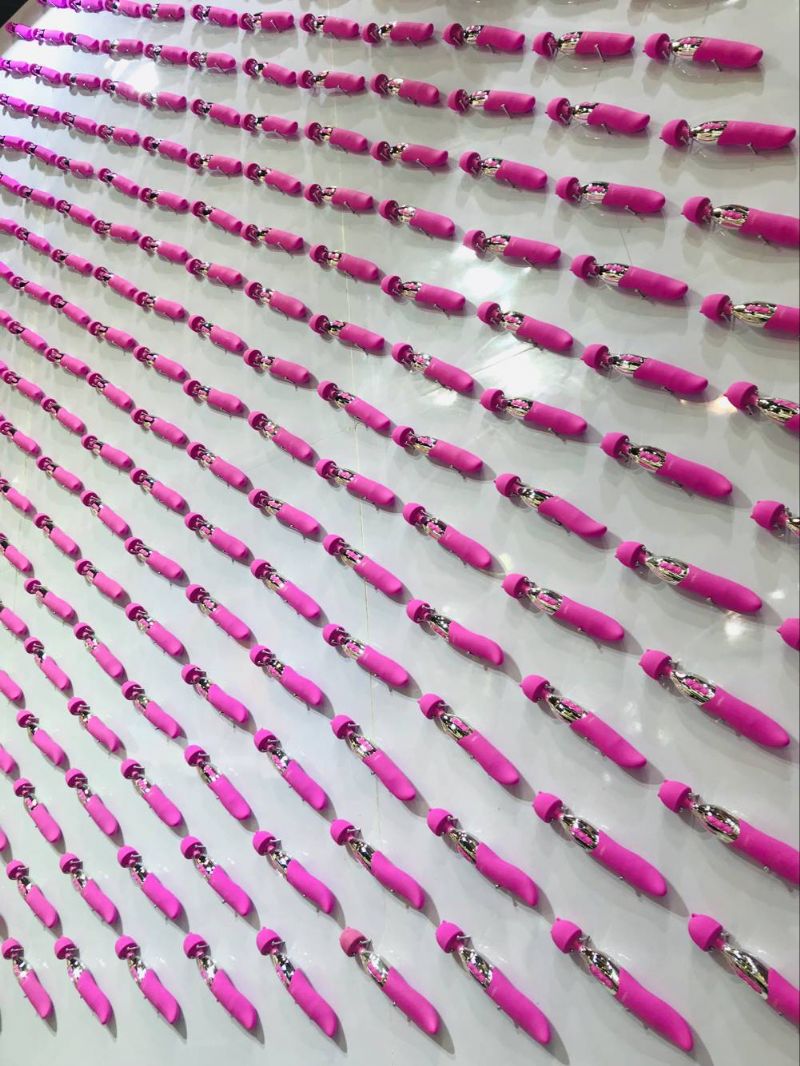 18��������Ļ���-չ���ֳ� (34)