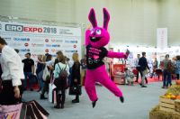 ����˹����չ�ֳ�����020