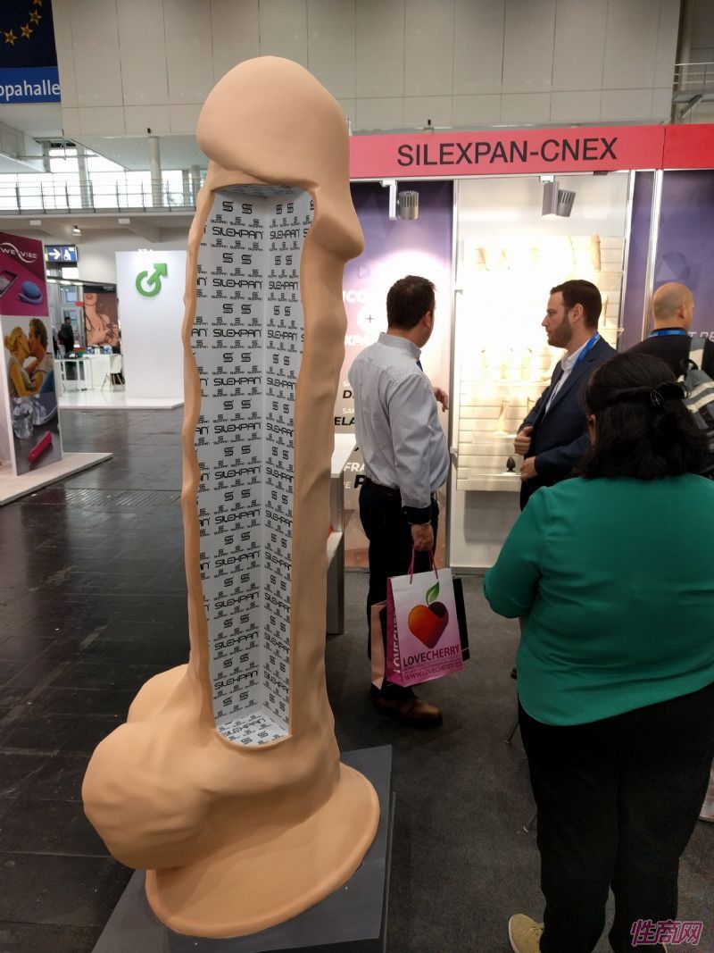 ��ŵ������չ��Ʒչʾ15