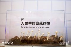 18���ų�����Ȥ���껪 (33)