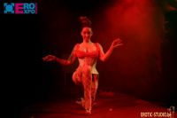 18�������ճ�����Ʒչero-expo������˲�� (29)