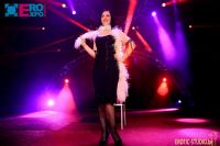 18�������ճ�����Ʒչero-expo������˲�� (83)