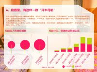 ����-2017�й�������Ȥ��Ʒ�������Ʊ���_ҳ��_13