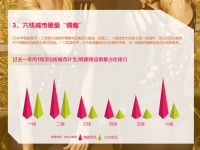 ����-2017�й�������Ȥ��Ʒ�������Ʊ���_ҳ��_39