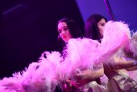 18����ά�ǳ���չ��������� (30)