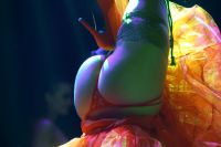 18����ά�ǳ���չ��������� (52)