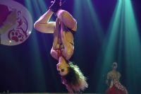 18����ά�ǳ���չ��������� (55)