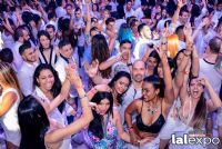 18��������չ����ɫ�ɶ� (42)