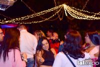 18��������չ����ɫ�ɶ� (44)