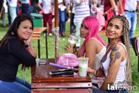 18��������չ��չ���ֳ� (28)