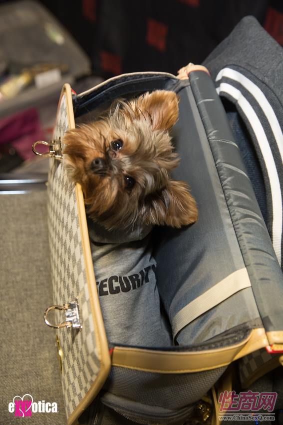 18美国eXXXotica 丹佛成人展:展会现场 (1)