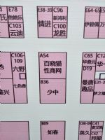 18�Ϻ�����չ-�ֳ�ʢ�� (4)