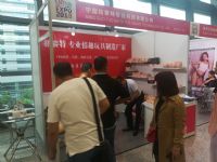 ��ģ���չ��