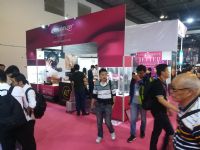 18�Ϻ�����չ-�ֳ�ʢ�� (48)