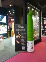 18�Ϻ�����չ-�ֳ�ʢ�� (92)