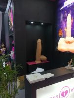 18�Ϻ�����չ-�ֳ�ʢ�� (102)