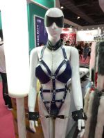 18�Ϻ�����չ-��չ��Ʒ (29)