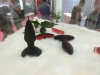 18�Ϻ�����չ-��չ��Ʒ (48)