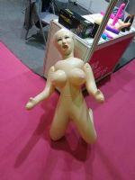 18�Ϻ�����չ-��չ��Ʒ (60)