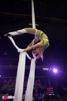 18֥�Ӹ����չ��չ���ֳ� (26)