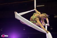 18֥�Ӹ����չ��չ���ֳ� (29)