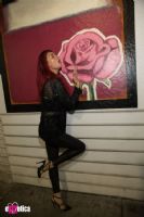 18֥�Ӹ����չeXXXotica��չ���ɶ� (48)