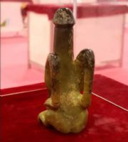 ��ʯ��ʱ��������Ȥ���