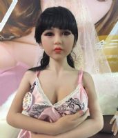 ������ϵ����