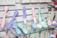 18�ļ���ɼ������չ-���ձ��� (42)