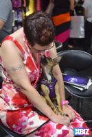 18�ļ���ɼ������չ-���ձ��� (45)