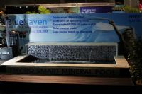 18Ϥ�����չ-չ���ֳ� (12)