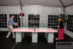 ��ɼ������չANME���ֳ���Ϸ (37)