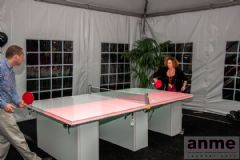 ��ɼ������չANME���ֳ���Ϸ (38)