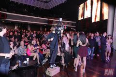 ��˹ά��˹����չAVN-�����ɶ� (41)