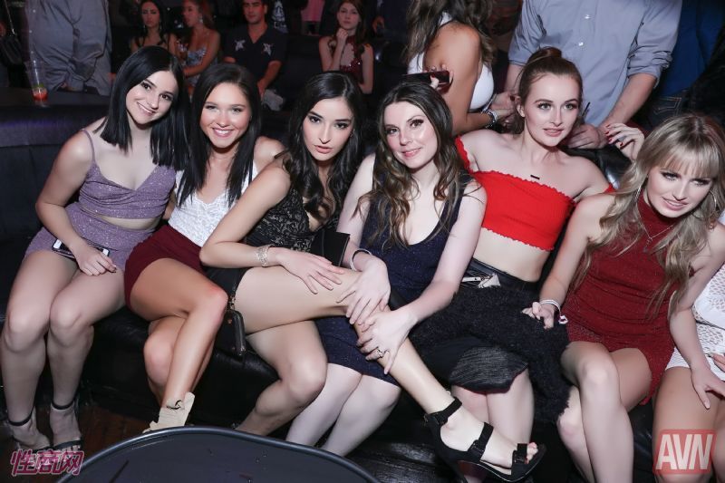 ��˹ά��˹����չAVN-�����ɶ� (28)