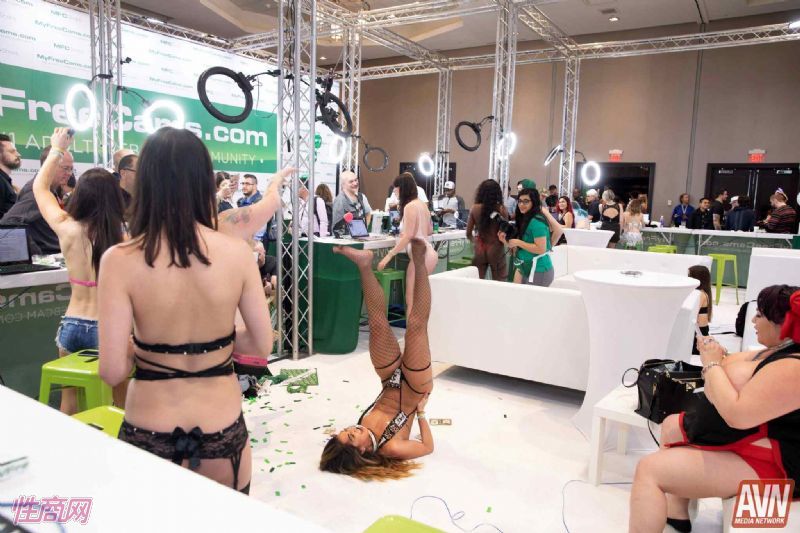 ��˹ά��˹����չAVN-չ���һ�� (11)