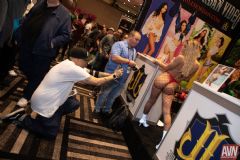 ��˹ά��˹����չAVN-չ���һ�� (35)