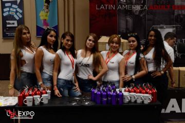 ��������չlalexpo¡�ؿ�Ļ��ģ��������ͼƬ37