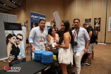 ��������չlalexpo¡�ؿ�Ļ��ģ��������ͼƬ53